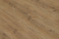 Spectra Luxury Gluedown Vinyl Flooring Biscotti Oak Plank