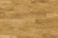 Moduleo Roots 54460 Country Oak LVT Gluedown Plank RO54460SDP41198