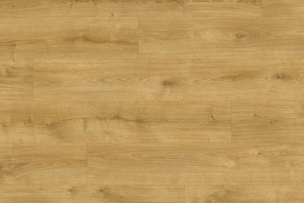 Moduleo Roots 87250 Galway Oak LVT Gluedown Plank RO87250SDP41202