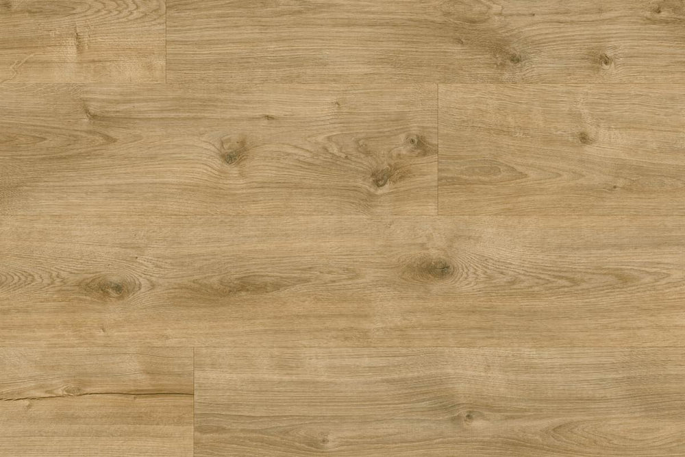 Moduleo Roots 87275 Galway Oak LVT Gluedown Plank RO87275MP40989