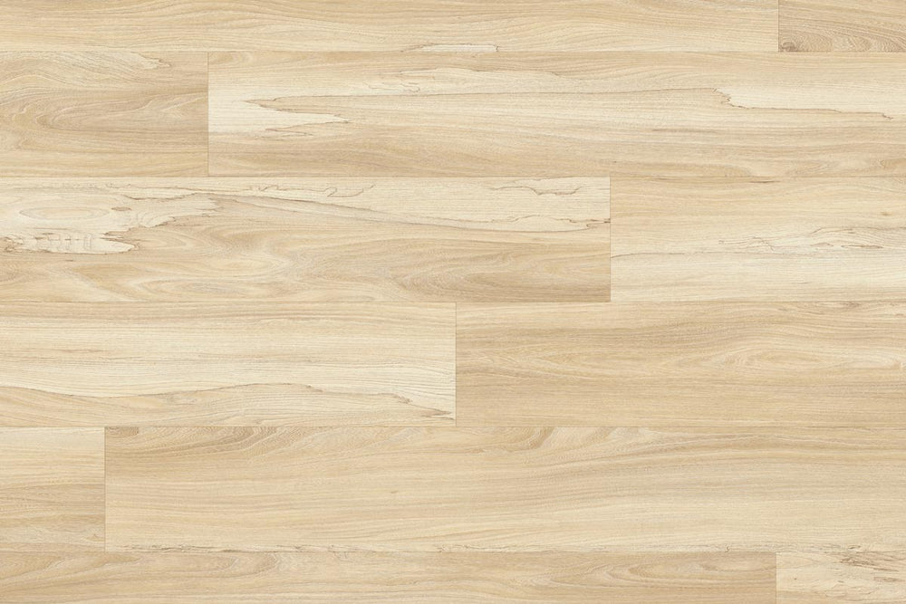 Moduleo Roots 22326 Marsh Wood LVT Gluedown Plank RO22326SDP40661