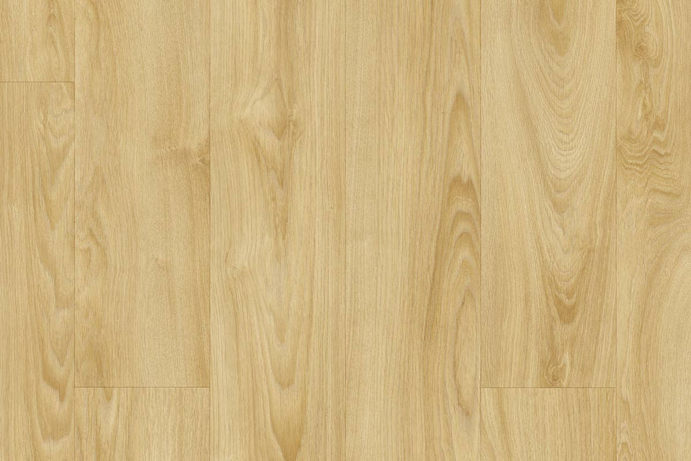 Moduleo Roots 22255 Midland Oak LVT Gluedown Plank RO22255SDP41291