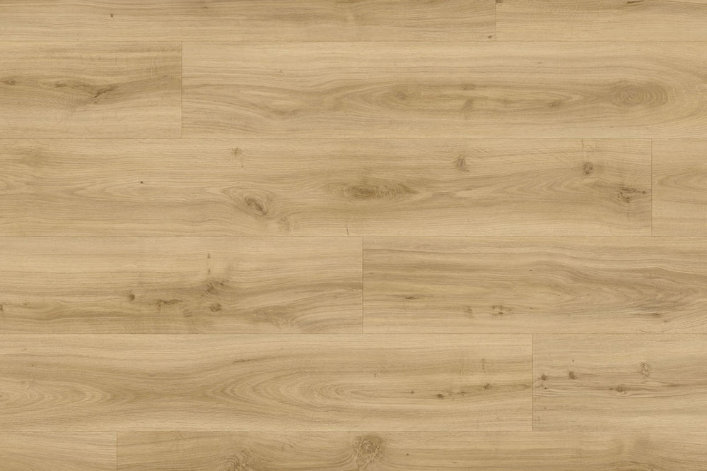 Moduleo Roots 24230 Classic Oak LVT Gluedown Plank RO24230SDP41199