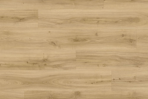 Moduleo Roots 24230 Classic Oak LVT Gluedown Plank RO24230SDP41199