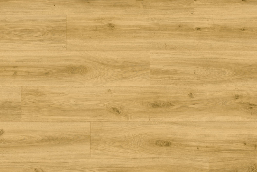Moduleo Roots 24430 Classic Oak LVT Gluedown Plank RO24430SDP41200