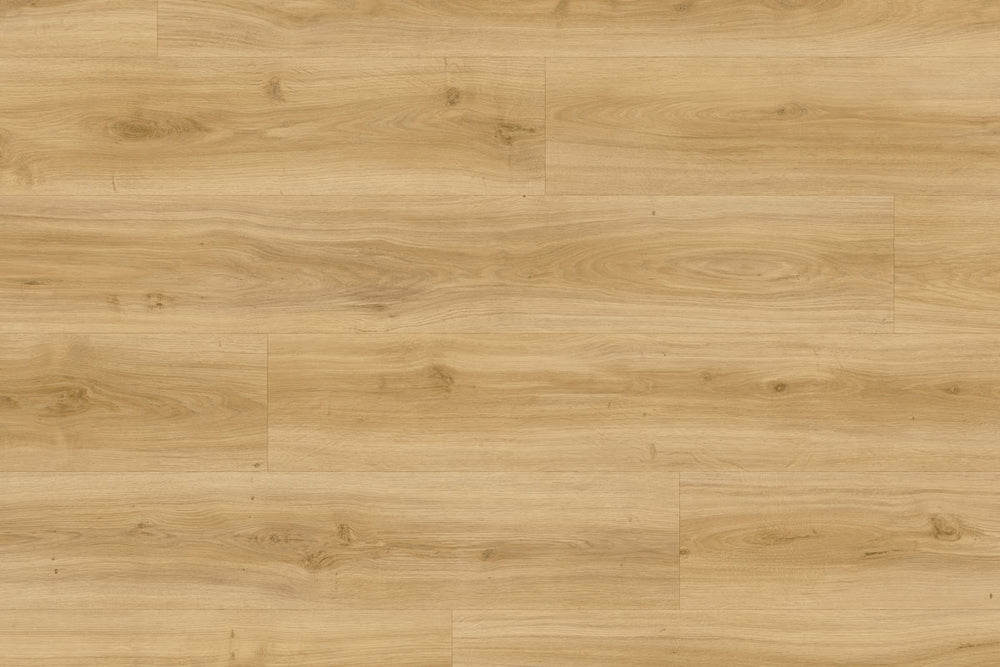 Moduleo Roots 24837 Classic Oak LVT Gluedown Plank RO24837SDP40828