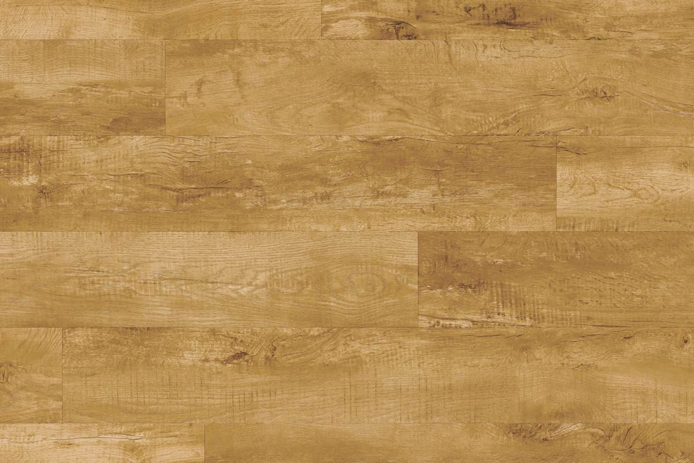 Moduleo Roots 54460 Country Oak LVT Gluedown Plank RO54460SDP41198