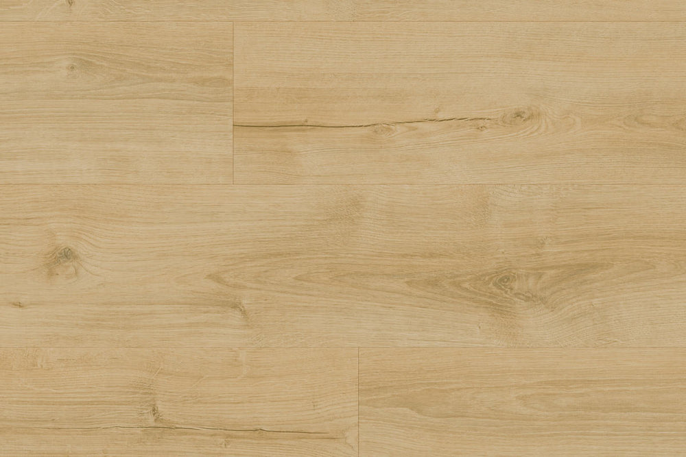 Moduleo Roots 87245 Galway Oak LVT Gluedown Plank RO87245MP40988