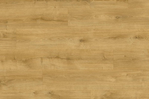 Moduleo Roots 87250 Galway Oak LVT Gluedown Plank RO87250SDP41202