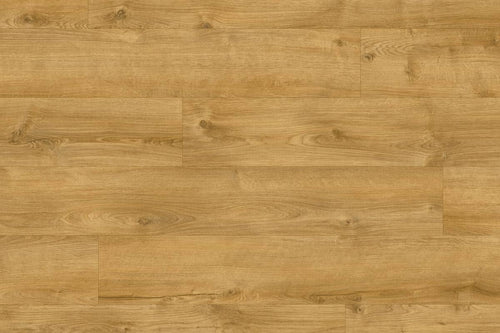 Moduleo Roots 87450 Galway Oak LVT Gluedown Plank RO87450SDP41201