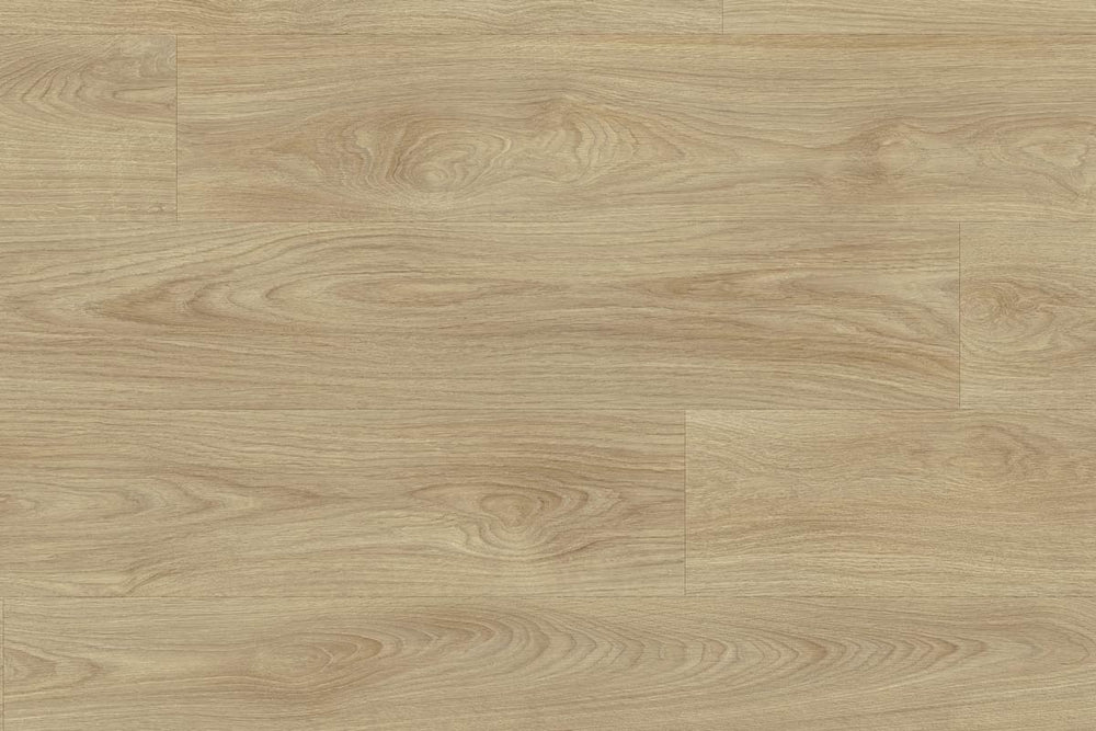Moduleo Roots 51222 Laurel Oak LVT Gluedown Plank RO51222MP40642