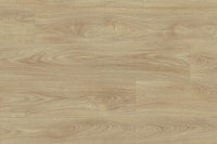 Moduleo Roots 51222 Laurel Oak LVT Gluedown Plank RO51222MP40642