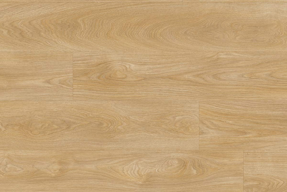 Moduleo Roots 51282 Laurel Oak LVT Gluedown Plank RO51282MP40646