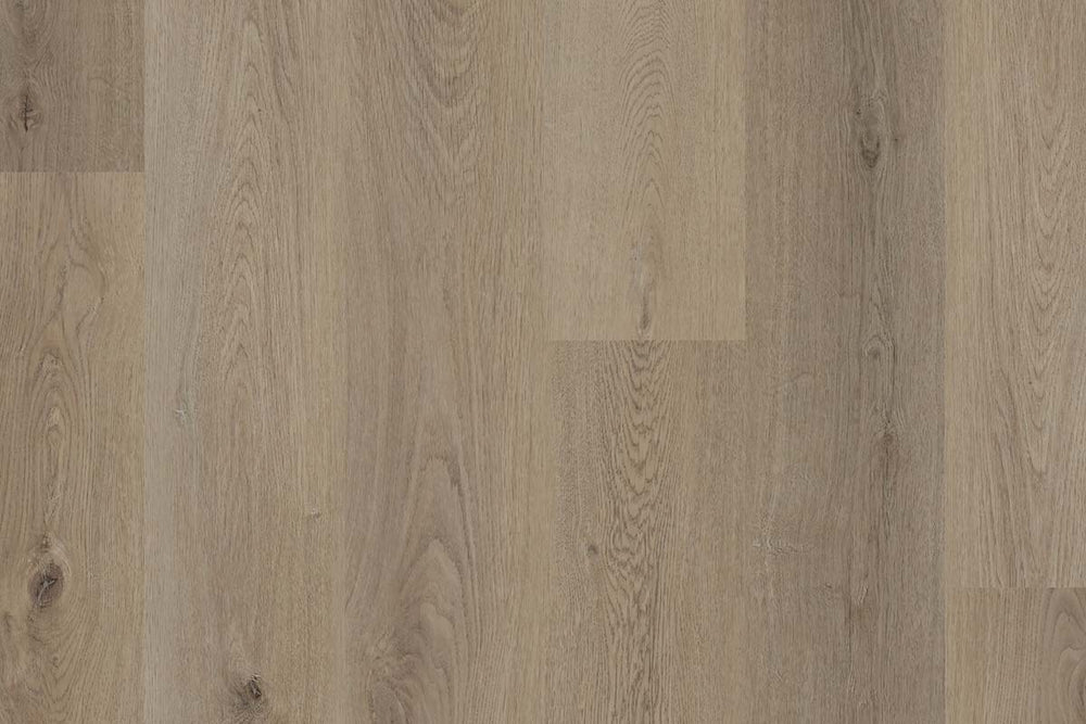 Polyflor Colonia PUR Marlow Oak Gluedown LVT 4386