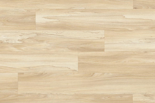 Moduleo Roots 22326 Marsh Wood LVT Gluedown Plank RO22326SDP40661
