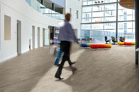 Polyflor Expona Control PUR Light Elm Gluedown LVT LVT 6506