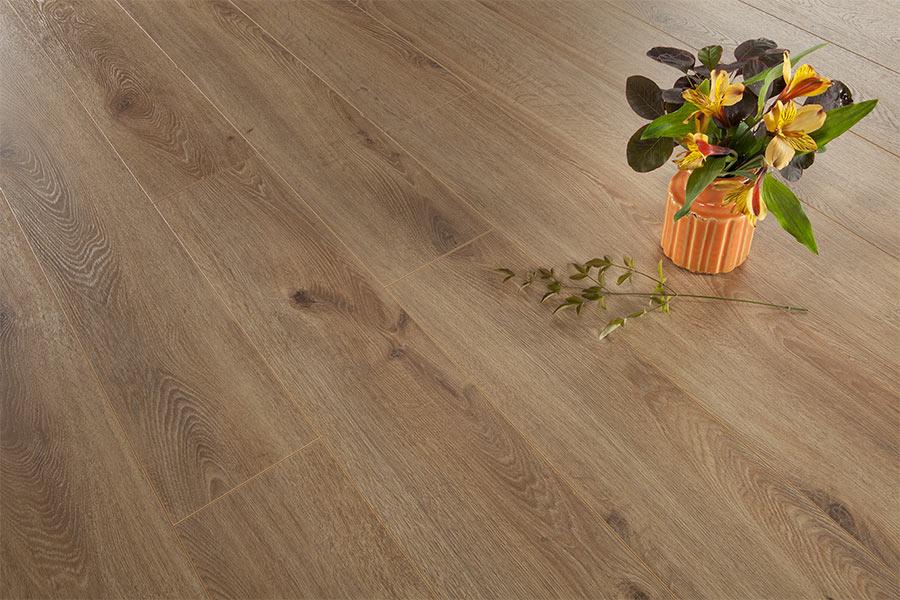 Series Woods Professional 10mm Laminate Flooring Light Oak EXHC8155C