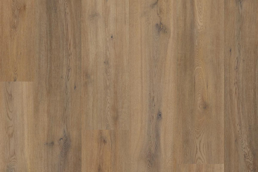 Polyflor Colonia PUR Story Oak Gluedown LVT 4389