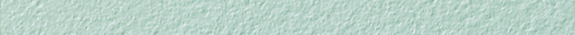 Karndean Design Strip DS17-10-2 Silver 10mm(w) x 2mm(t)